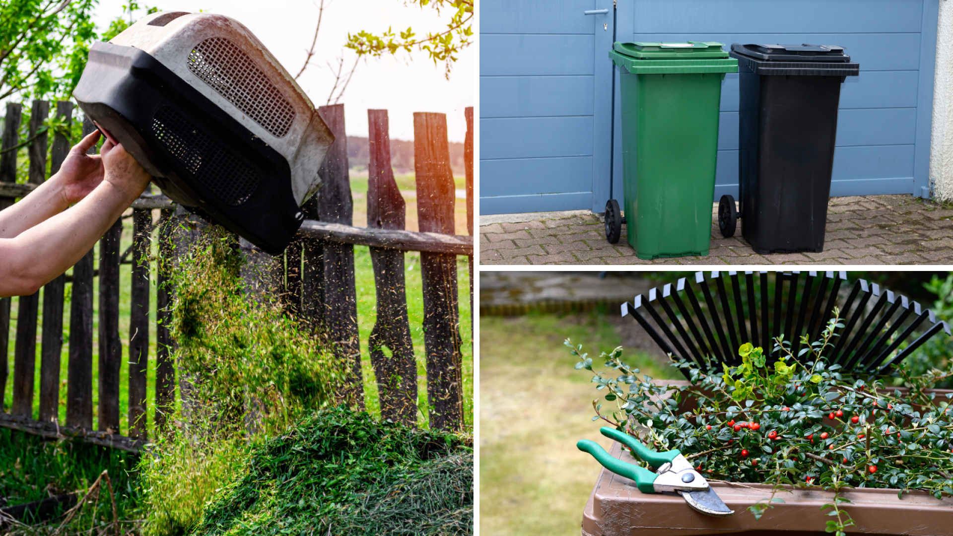 garbage, waste, compost, recycle