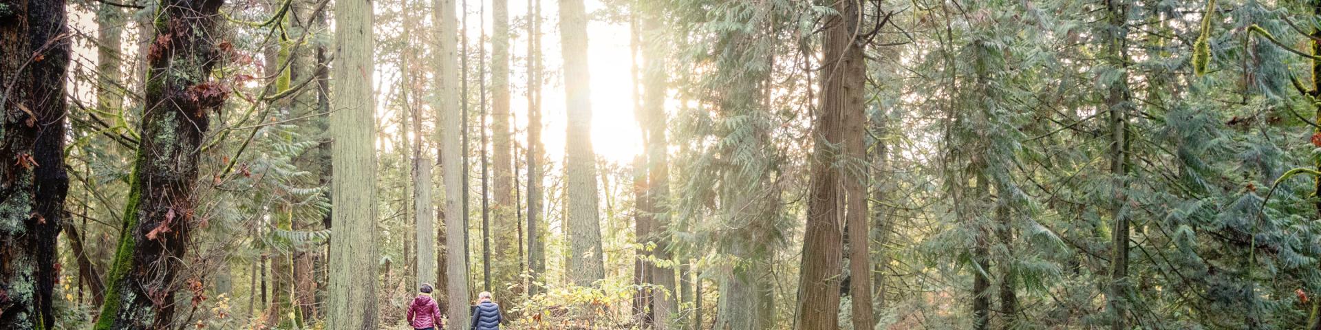 park trails people walking
